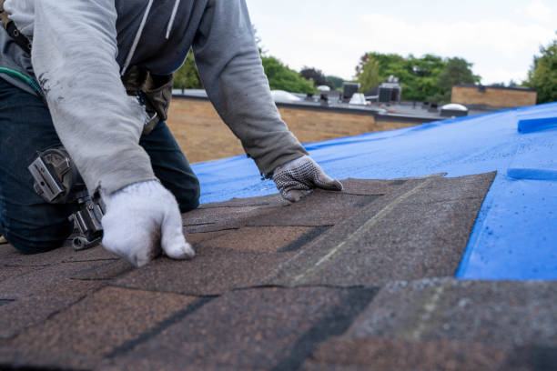 Best Roof Ventilation Installation  in Homer, LA